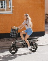 ENGWE T14 Folding E-Bike 250W, 55KM Range, 25KM/H, 10Ah Battery