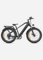 ENGWE E26 All-Terrain E-Bike 250W, 140KM Range, Dual Suspension