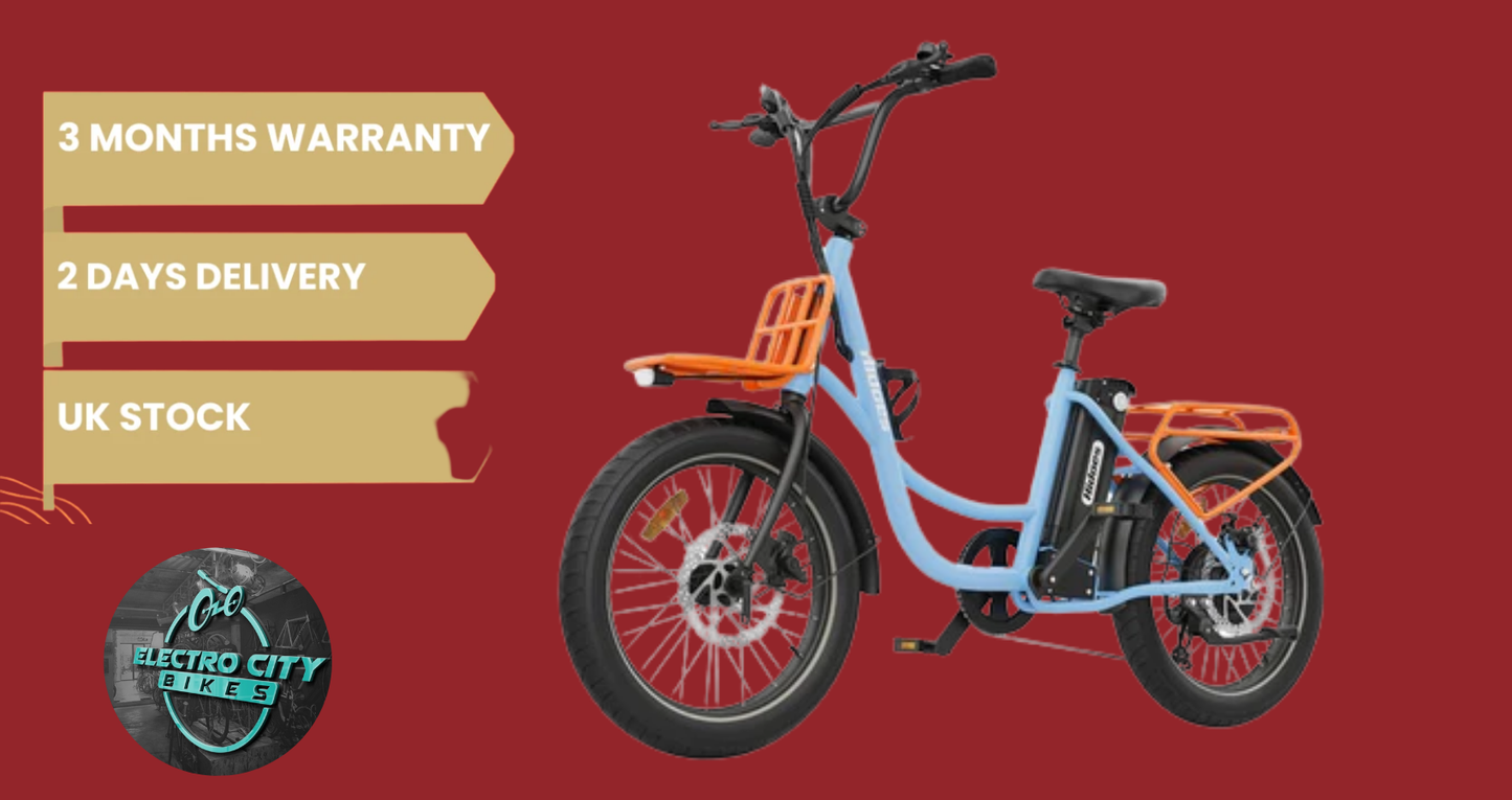 Hidoes C6 Electric Bike 13Ah