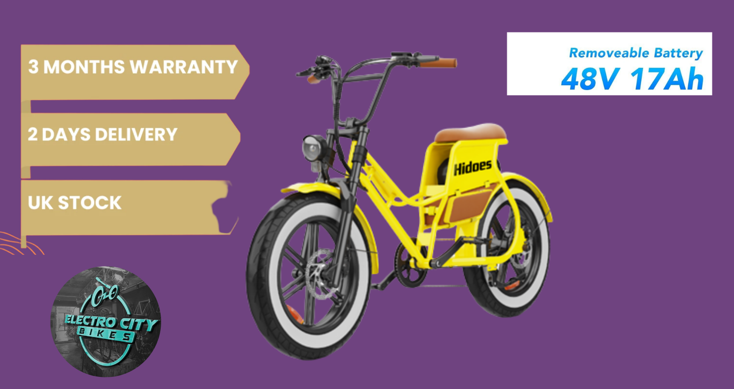 Hidoes C8 Electric Bike, 700W Fat Tire eBike with 48V 17Ah Battery, 50 Miles