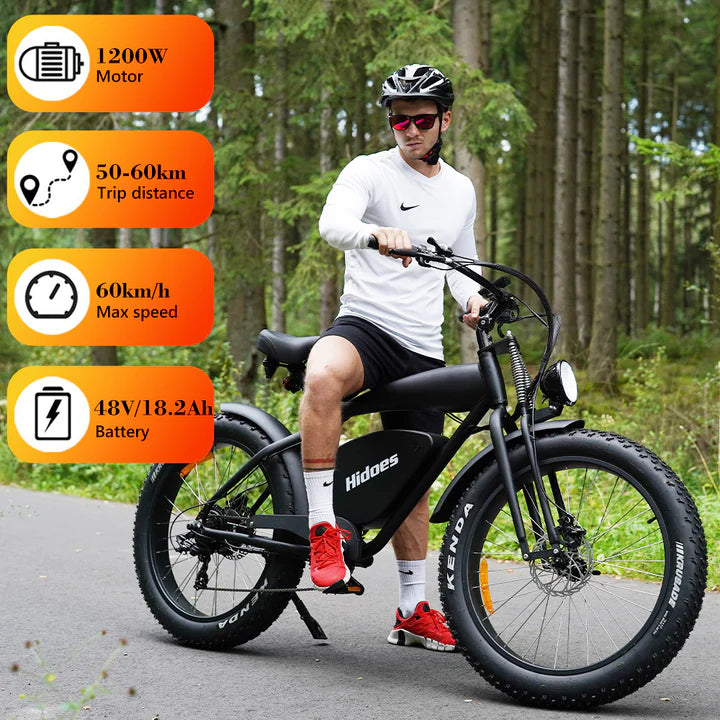 Hidoes B3 Electric Bike