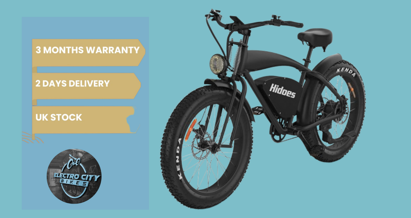 Hidoes B3 Electric Bike