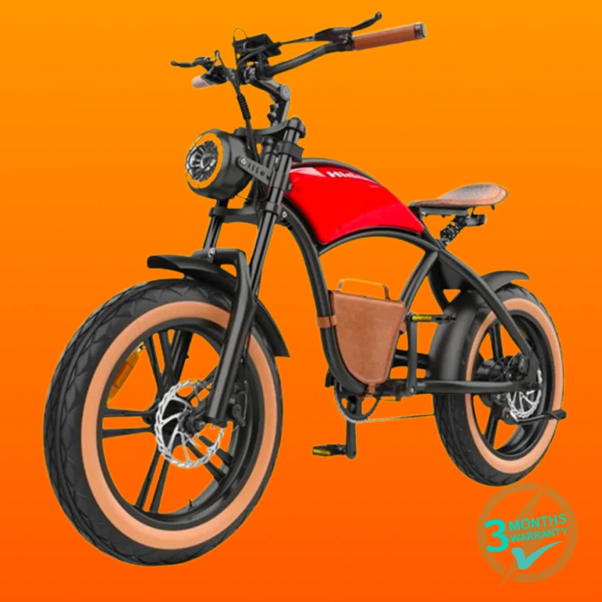 Hidoes B10 Electric Bike