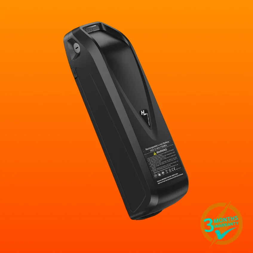 48V 18.0/19.2/20.0Ah Hailong G80 Max Down Tube Battery with Charger