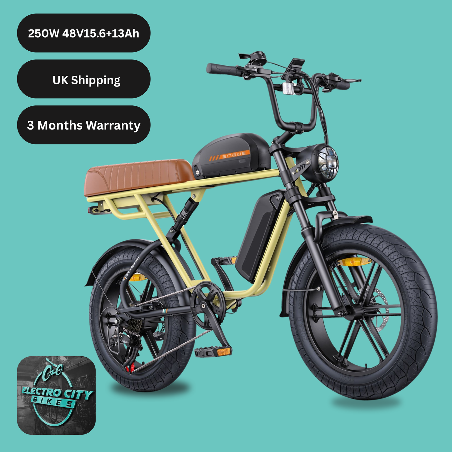 ENGWE M1 E-Bike 250W, Dual Battery, 170KM Range, 65Nm Torque, Moto Style