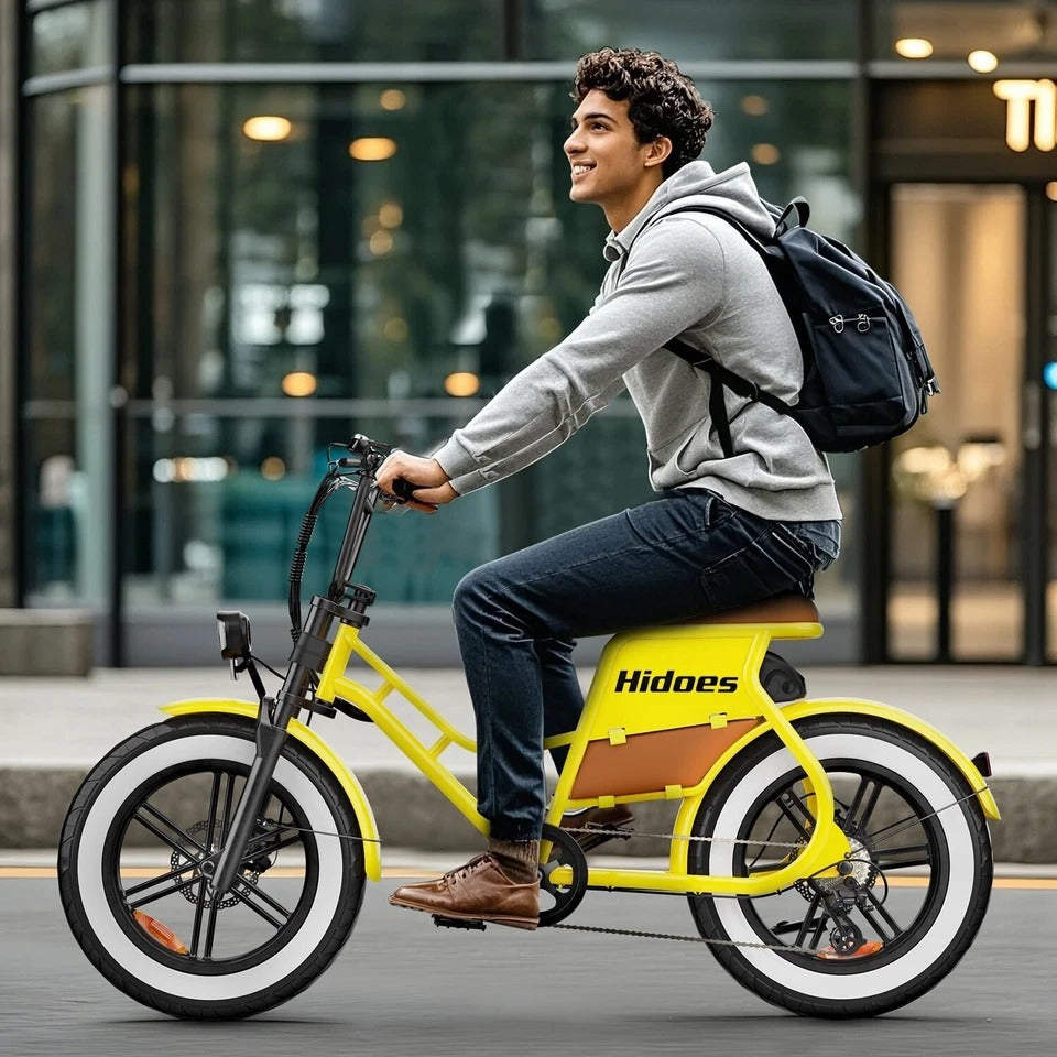 Hidoes C8 Electric Bike, 700W Fat Tire eBike with 48V 17Ah Battery, 50 Miles