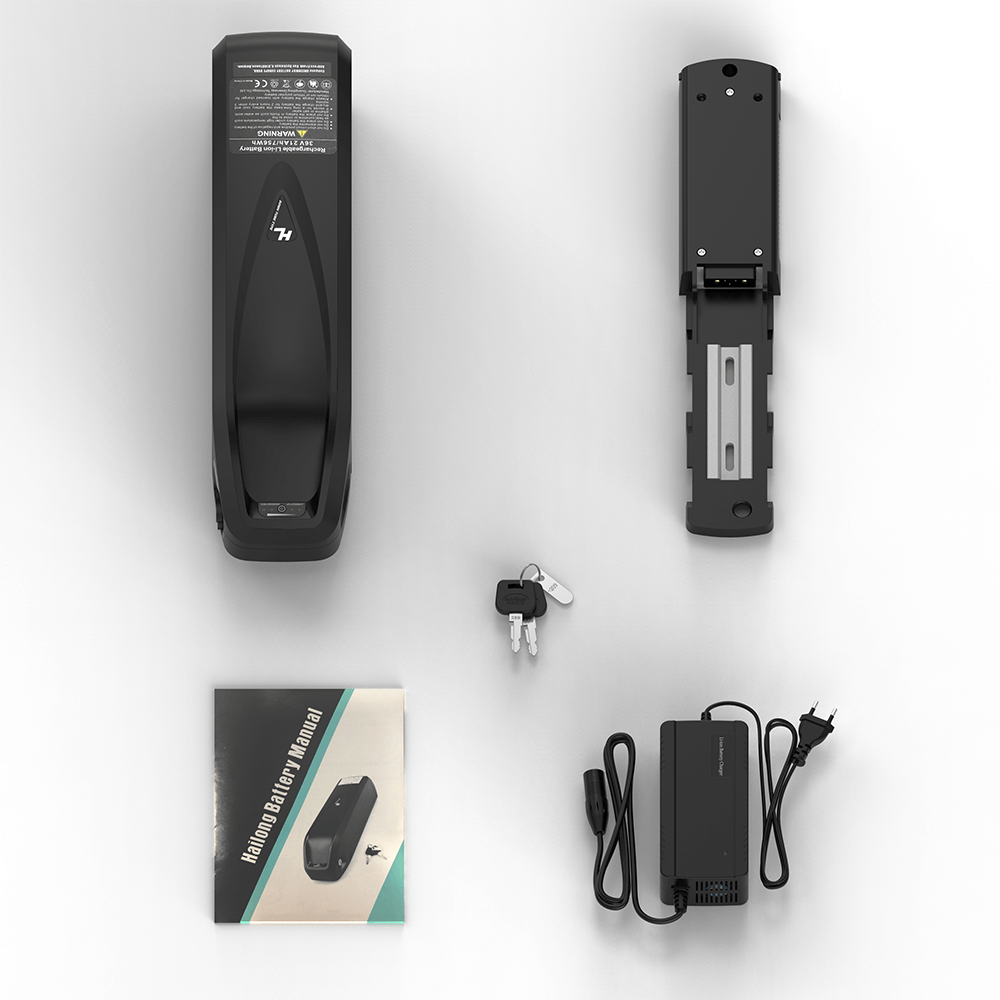 36V 10ah/24Ah Battery with Charger/Keys