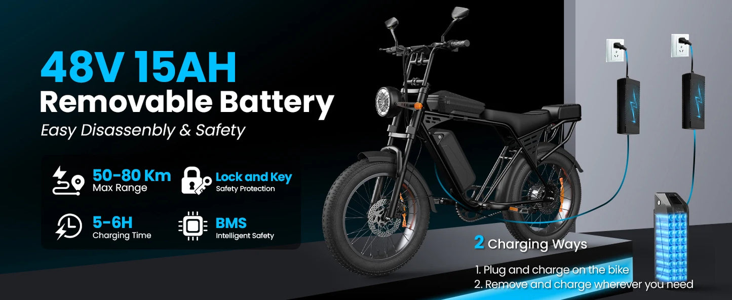 AAIRSK X5 250W Electric Mountain Bike 20" Fat Tyre Adult E-Bike with 48V 15Ah Battery