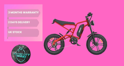 Hidoes B6 Electric Bike for Adults