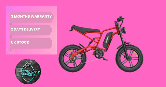 Hidoes B6 Electric Bike for Adults