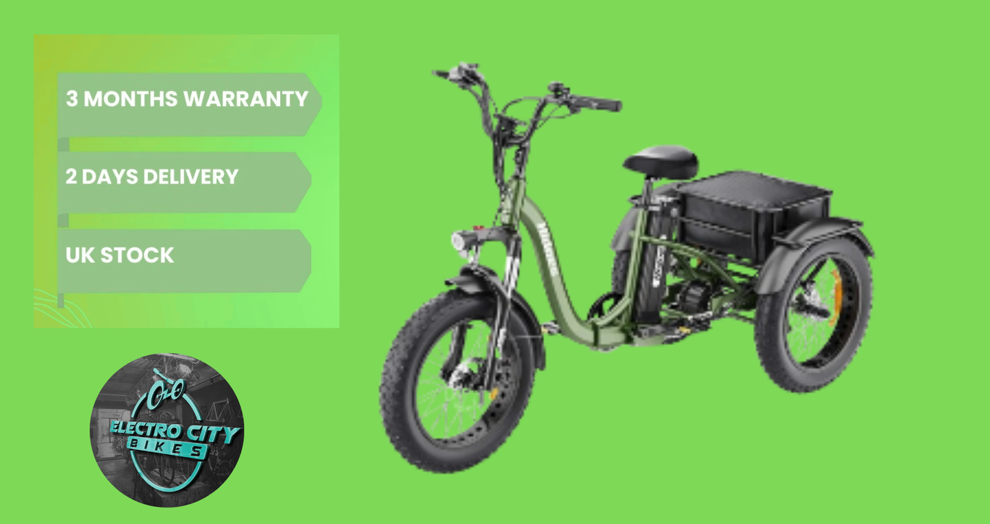 Hidoes ET1 Electric Bike - 20" Cargo Electric Tricycle