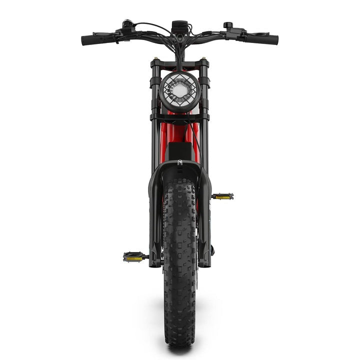Hidoes B6 Electric Bike for Adults