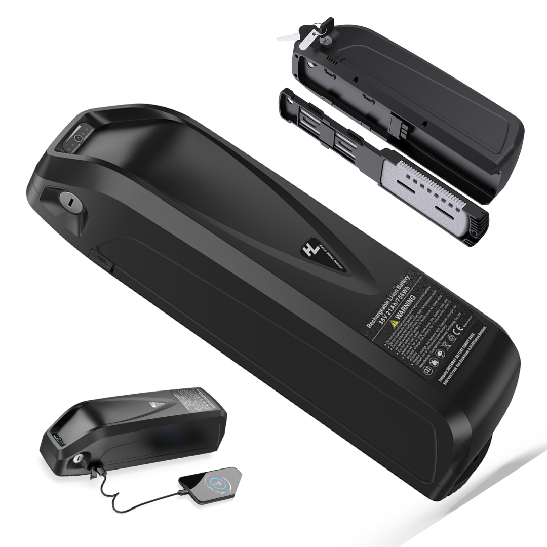 36V Hailong E-Bike Battery