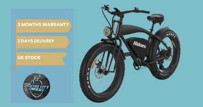 Hidoes B3 Electric Bike