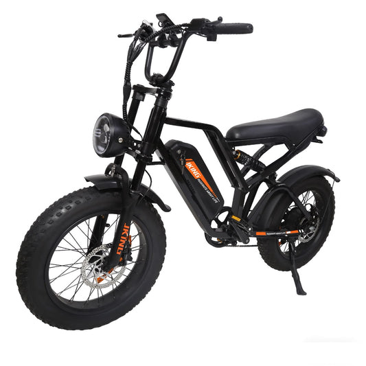 FXH-009 20 Inch Fat Tyre Electric Bike, 48V 13Ah 624Wh Battery, 500W Motor, 7-Speed Gears, Full Suspension