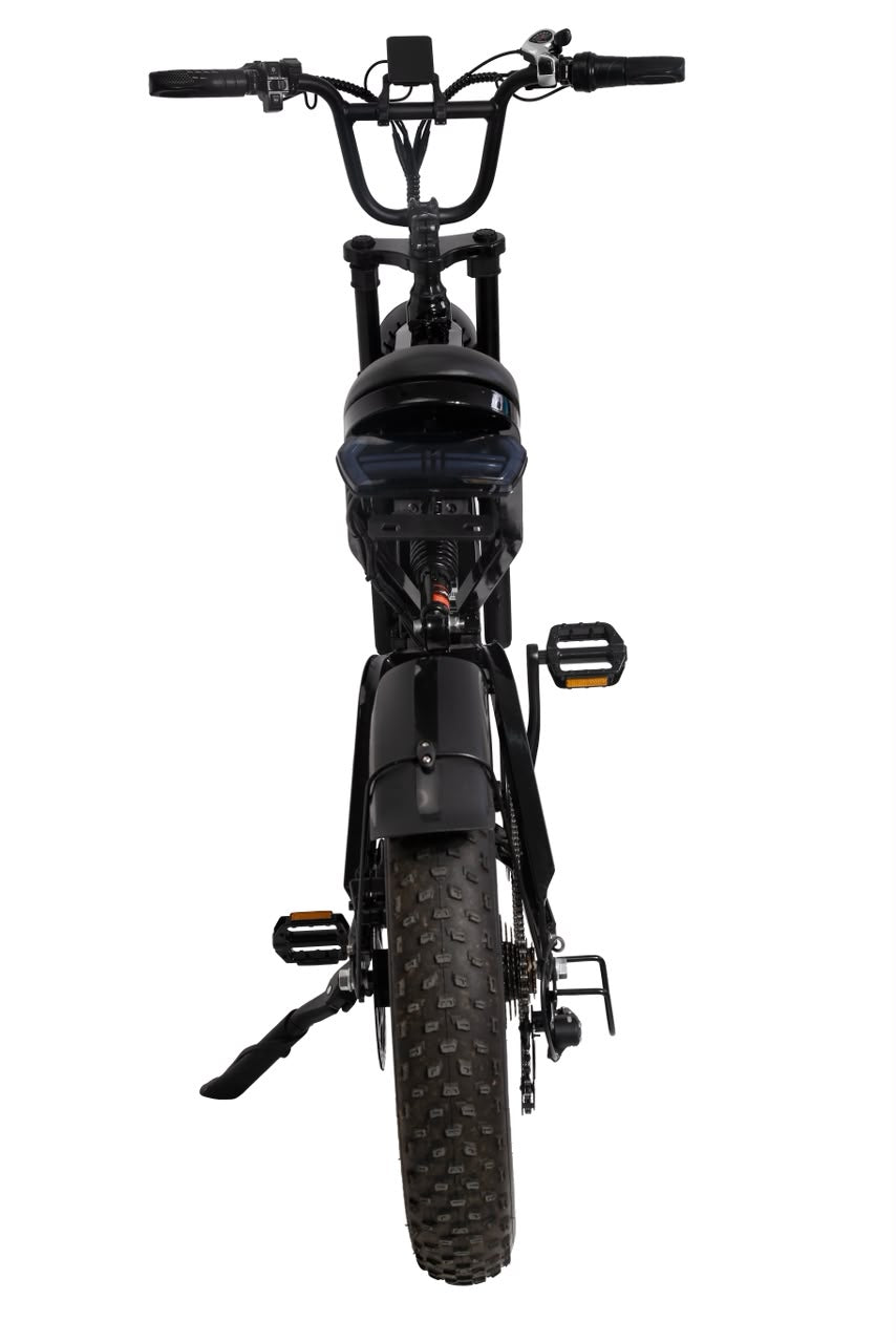 FXH-009 20 Inch Fat Tyre Electric Bike, 48V 13Ah 624Wh Battery, 500W Motor, 7-Speed Gears, Full Suspension