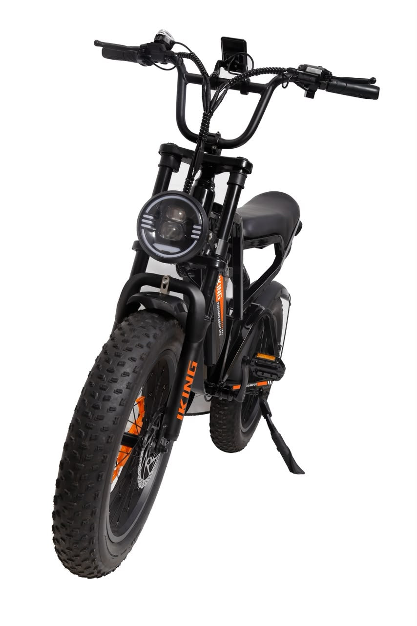 FXH-009 20 Inch Fat Tyre Electric Bike, 48V 13Ah 624Wh Battery, 500W Motor, 7-Speed Gears, Full Suspension