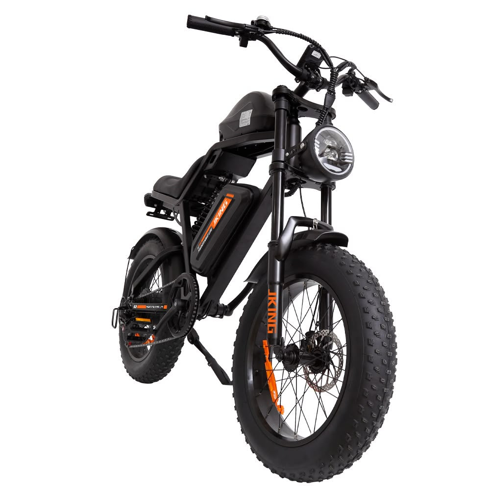 FXH-002 20 Inch Fat Tyre Electric Bike 48V 13Ah 500W Motor 20 x 4.0 E-Bike