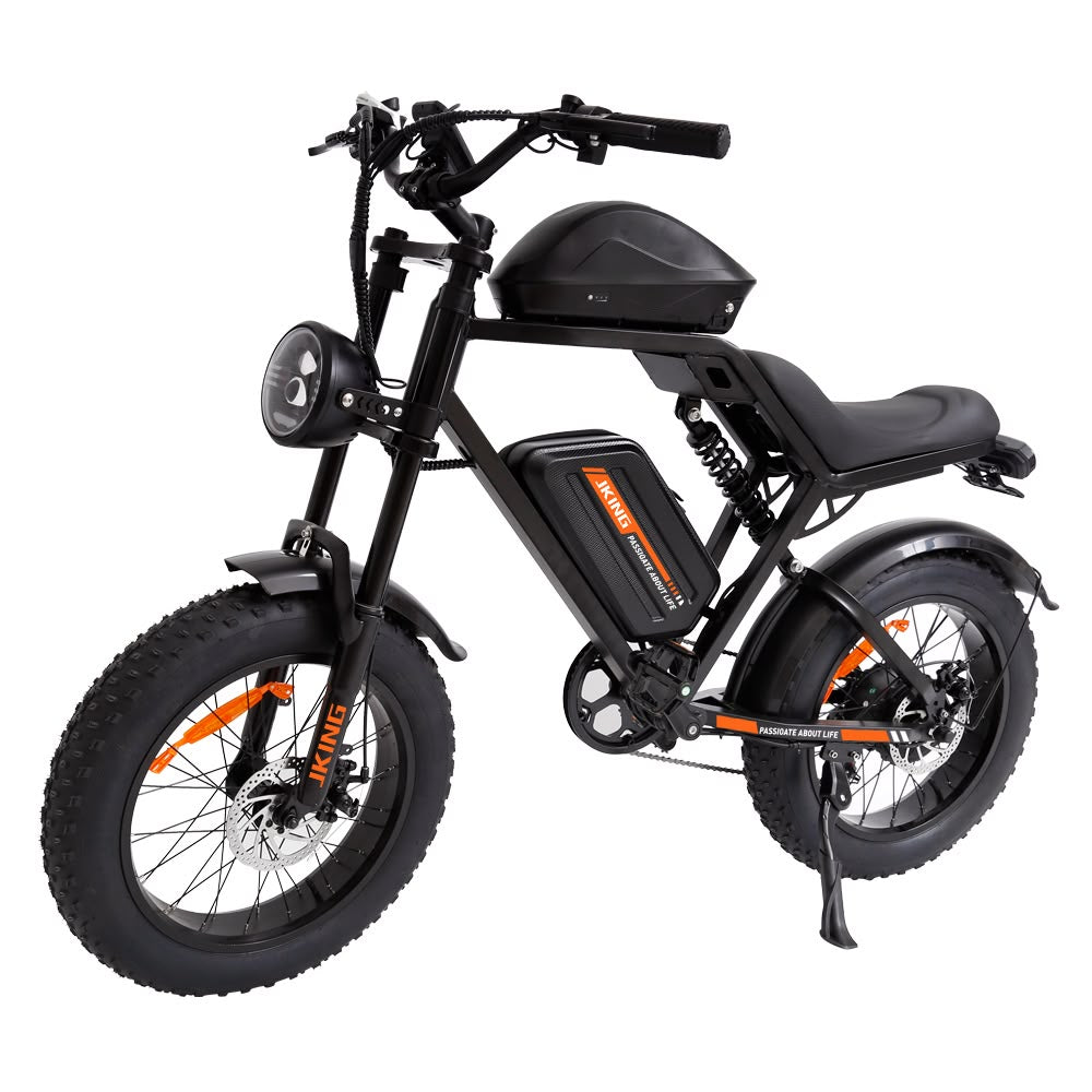 FXH-002 20 Inch Fat Tyre Electric Bike 48V 13Ah 500W Motor 20 x 4.0 E-Bike