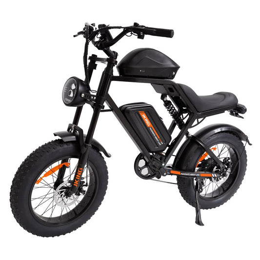 FXH-002 20 Inch Fat Tyre Electric Bike 48V 13Ah 500W Motor 20 x 4.0 E-Bike