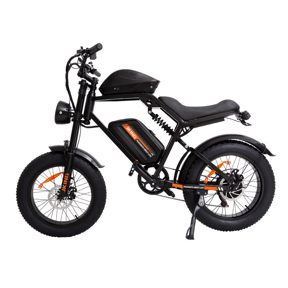 FXH-002 20 Inch Fat Tyre Electric Bike 48V 13Ah 500W Motor 20 x 4.0 E-Bike