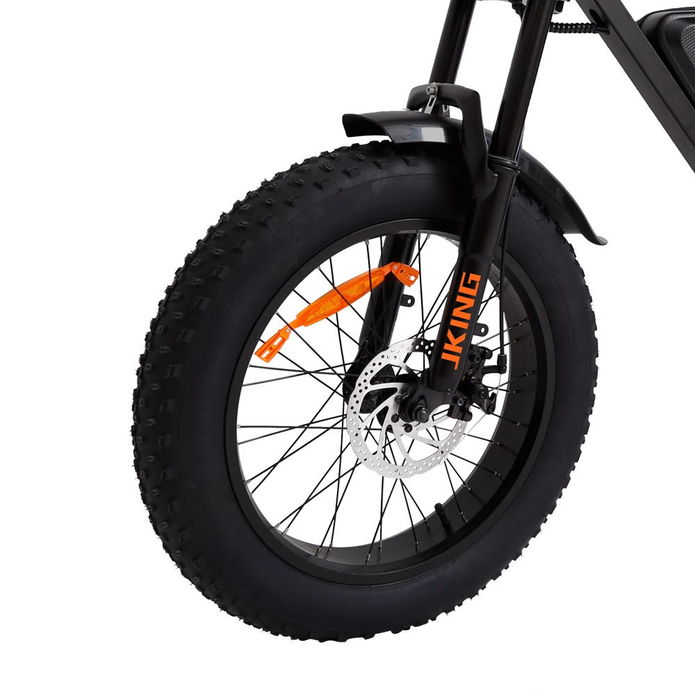 FXH-002 20 Inch Fat Tyre Electric Bike 48V 13Ah 500W Motor 20 x 4.0 E-Bike
