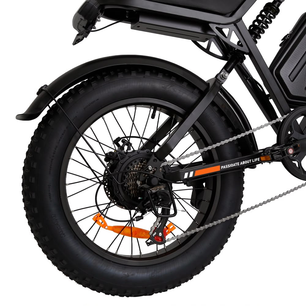FXH-002 20 Inch Fat Tyre Electric Bike 48V 13Ah 500W Motor 20 x 4.0 E-Bike