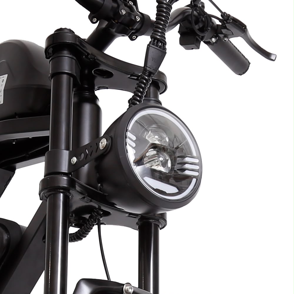 FXH-002 20 Inch Fat Tyre Electric Bike 48V 13Ah 500W Motor 20 x 4.0 E-Bike