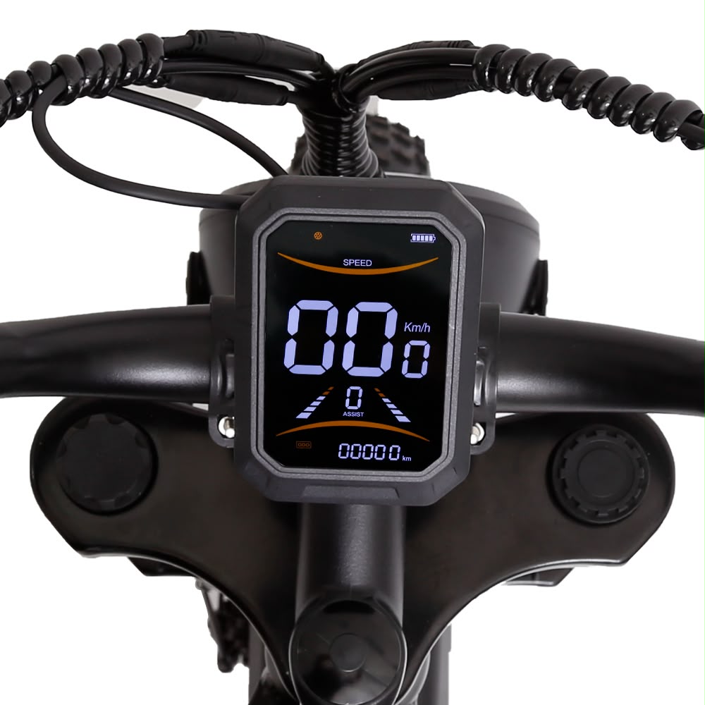 FXH-002 20 Inch Fat Tyre Electric Bike 48V 13Ah 500W Motor 20 x 4.0 E-Bike