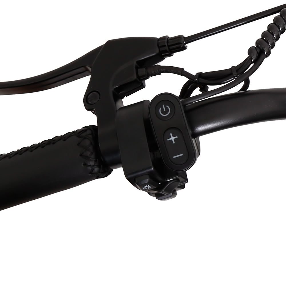 FXH-002 20 Inch Fat Tyre Electric Bike 48V 13Ah 500W Motor 20 x 4.0 E-Bike