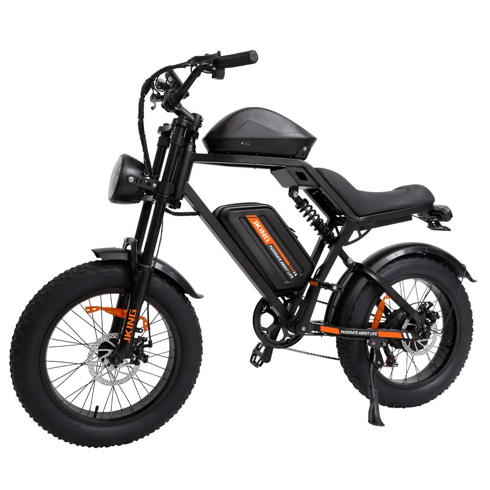 FXH-002 20 Inch Fat Tyre Electric Bike 48V 13Ah 500W Motor 20 x 4.0 E-Bike