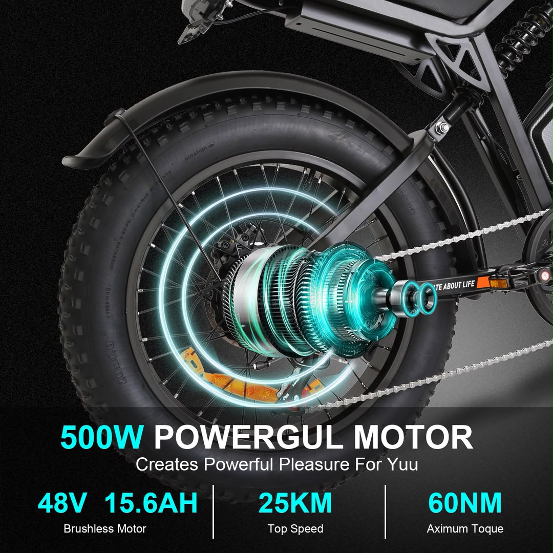 FXH-002 20 Inch Fat Tyre Electric Bike 48V 13Ah 500W Motor 20 x 4.0 E-Bike