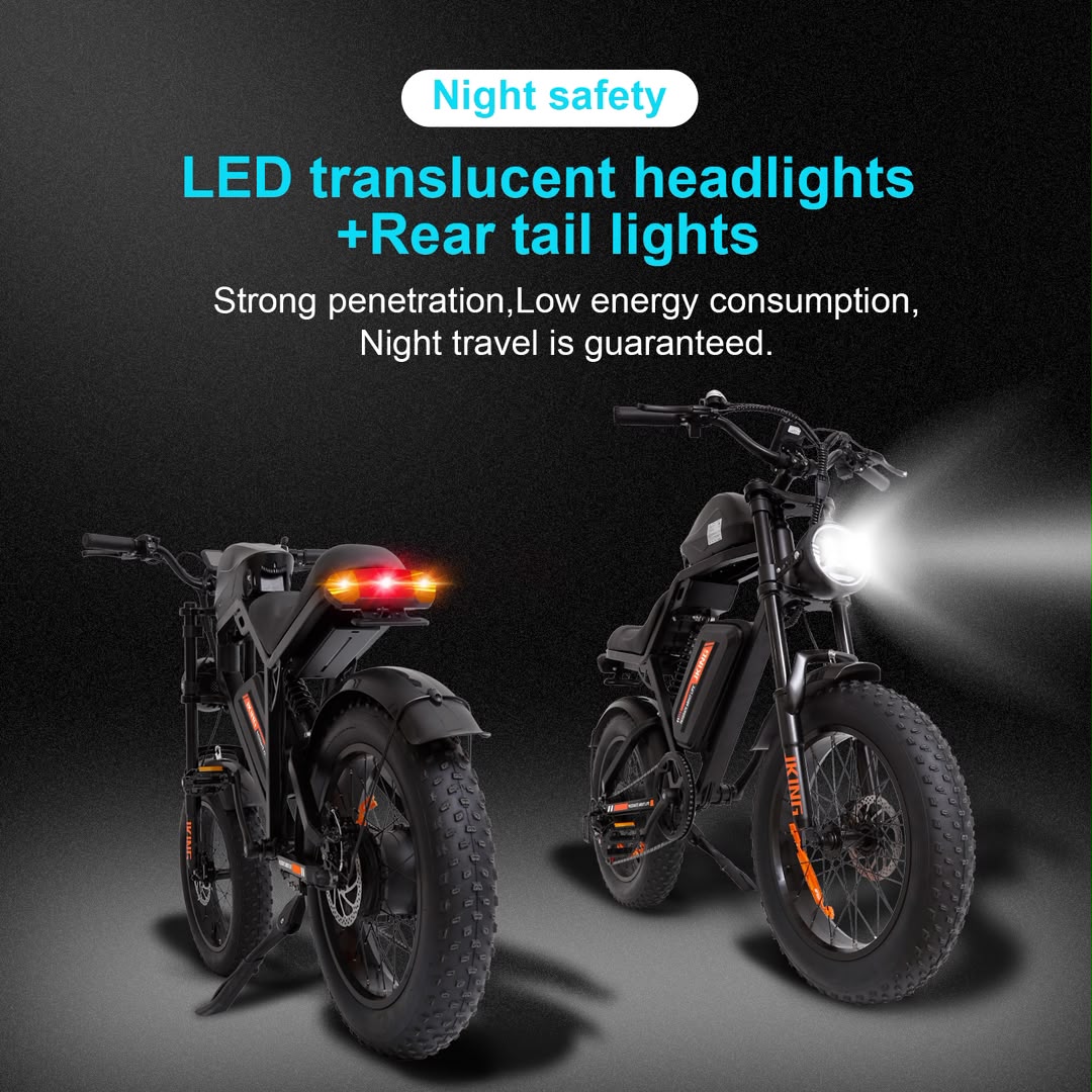 FXH-002 20 Inch Fat Tyre Electric Bike 48V 13Ah 500W Motor 20 x 4.0 E-Bike