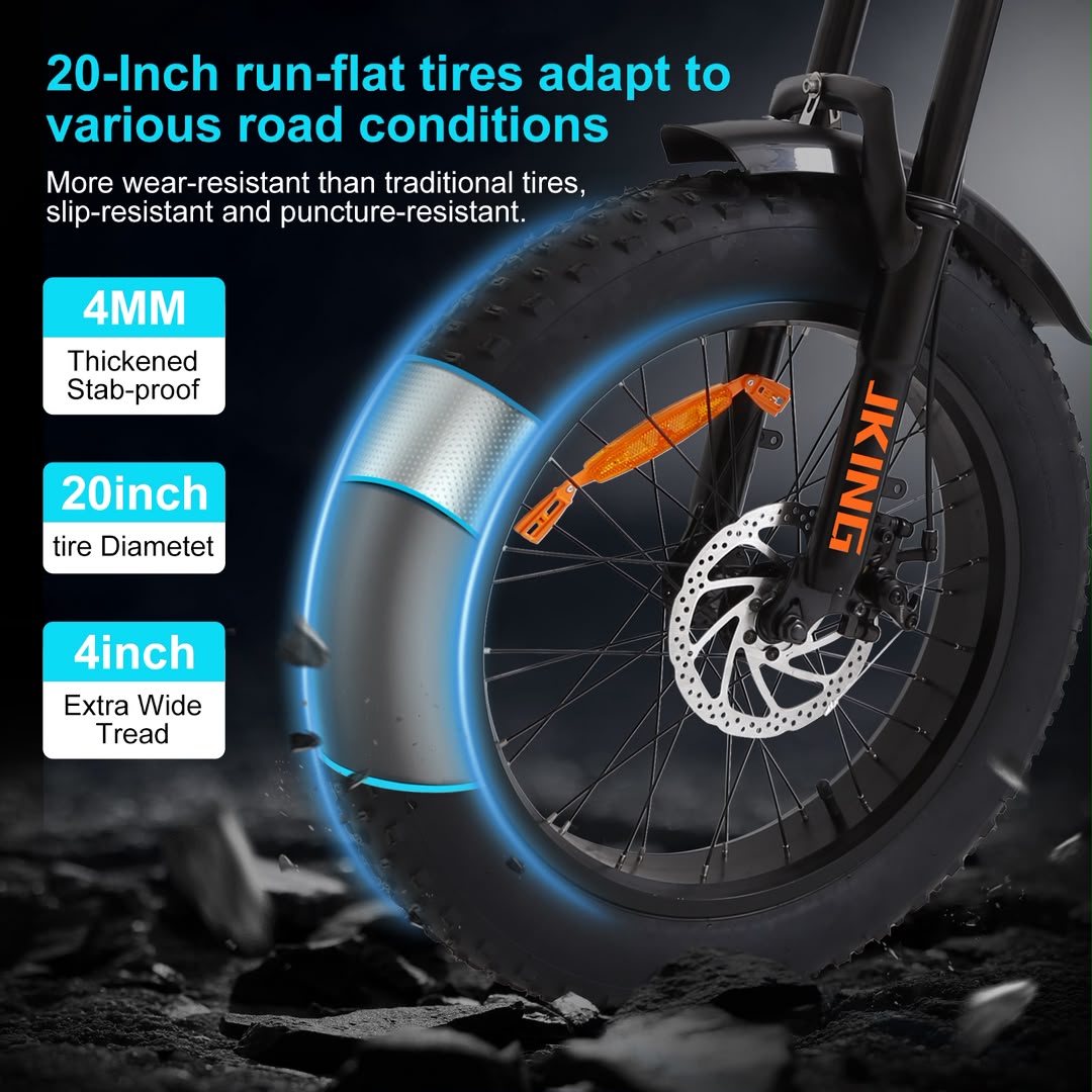 FXH-002 20 Inch Fat Tyre Electric Bike 48V 13Ah 500W Motor 20 x 4.0 E-Bike