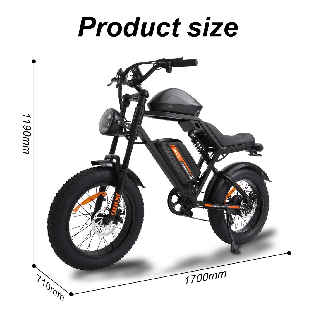 FXH-002 20 Inch Fat Tyre Electric Bike 48V 13Ah 500W Motor 20 x 4.0 E-Bike