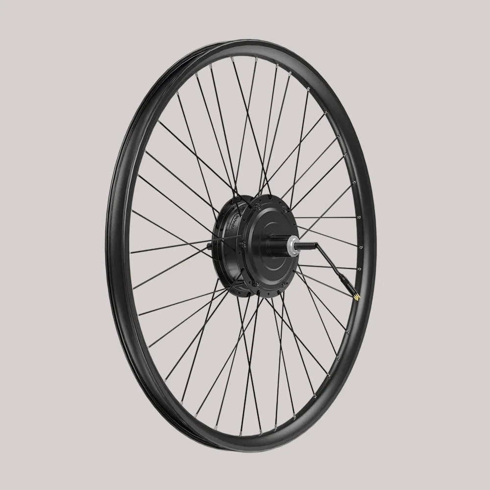 Bafang 250W 36V Rear Hub Cassette Electric Bike Hub Kits