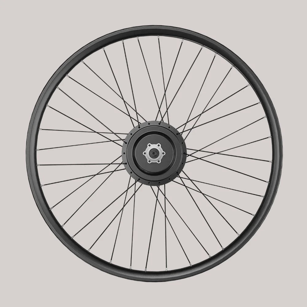 Bafang 250W 36V Rear Hub Cassette Electric Bike Hub Kits