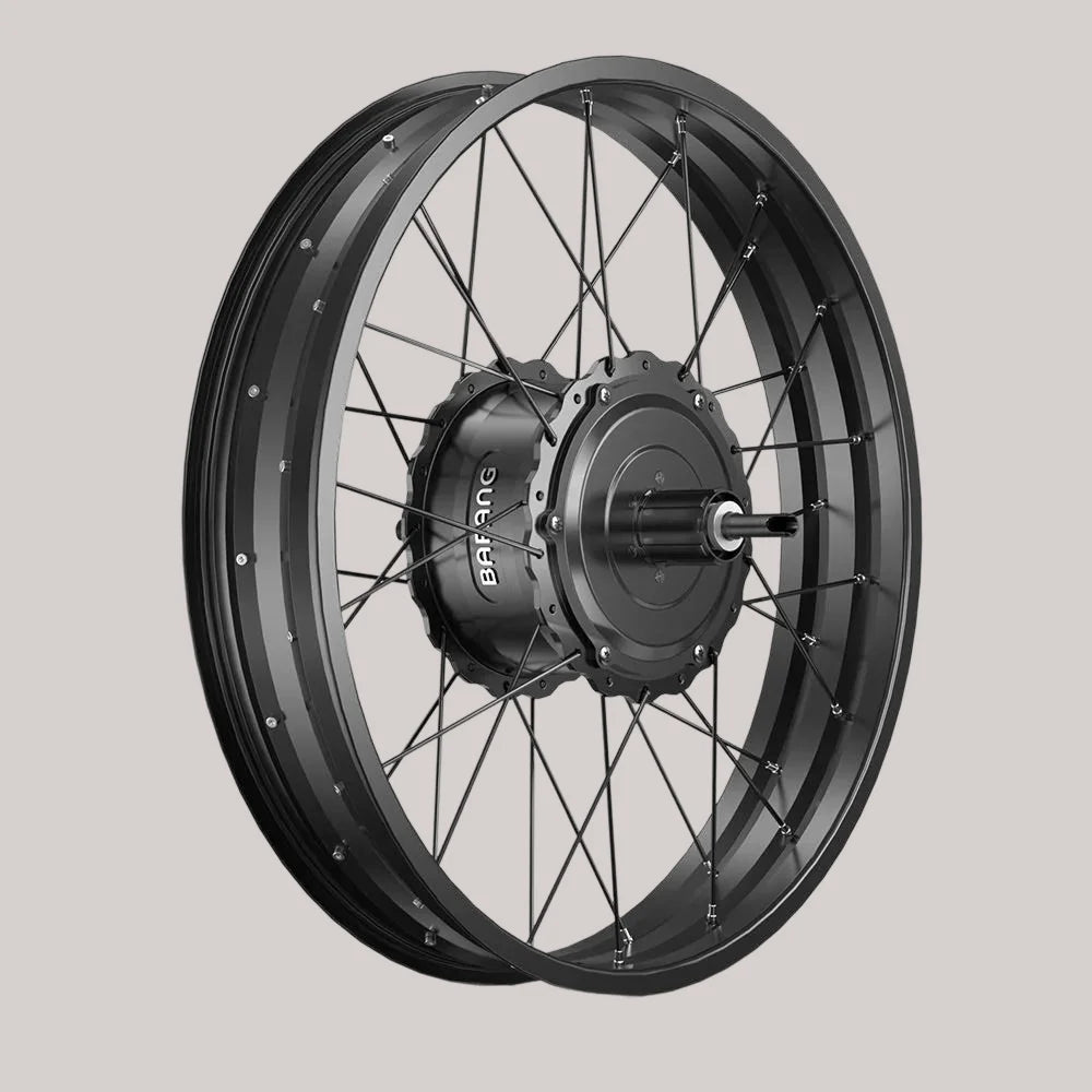 Bafang 20/26 (inch) 750W 48V Fat Bike Electric Cassette Rear Hub
