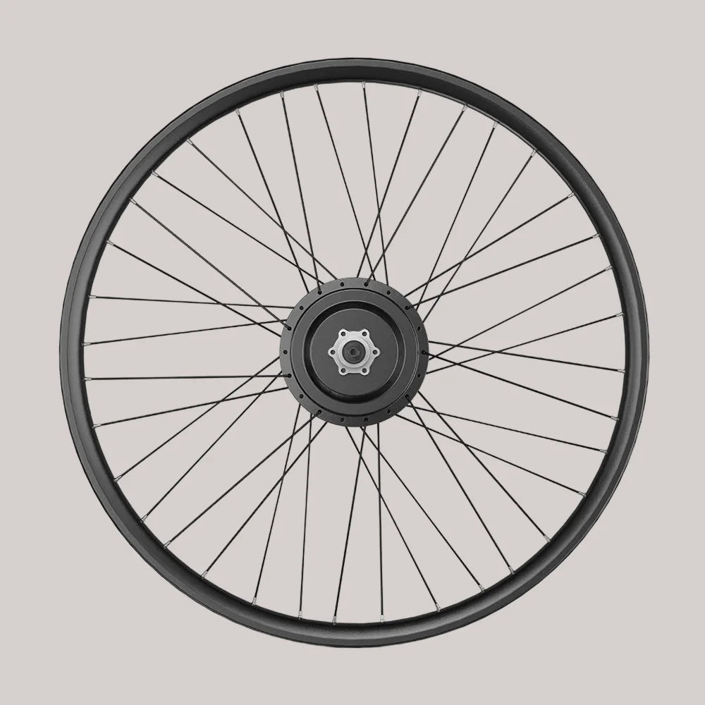 Bafang 20/26 (inch) 750W 48V Fat Bike Electric Cassette Rear Hub