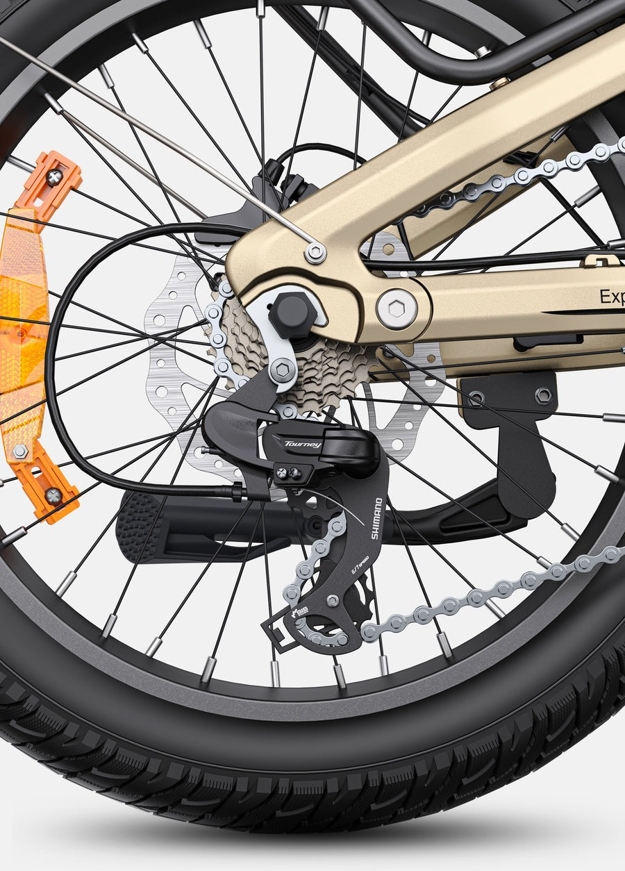 L20 3.0 Pro Electric Bike | 250W Mid-Drive | 100Nm Torque | Full Suspension