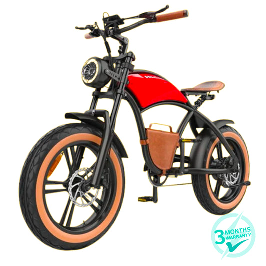Hidoes B10 Electric Bike
