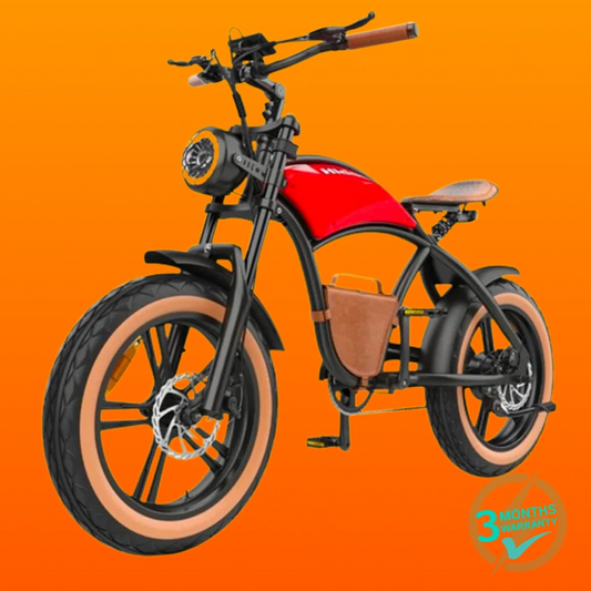 Hidoes B10 Electric Bike
