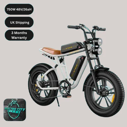 ENGWE M20 Double Battery E-Bike, 150KM Range, Full Suspension