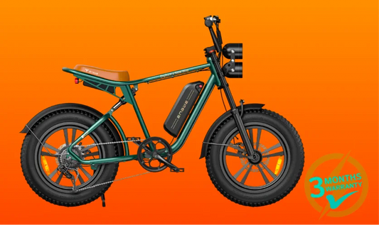 ENGWE M20 Double Battery E-Bike, 150KM Range, Full Suspension
