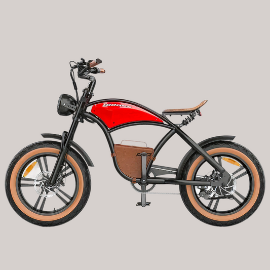 Hidoes B10 Electric Bike