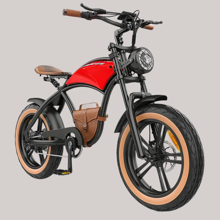 Hidoes B10 Electric Bike