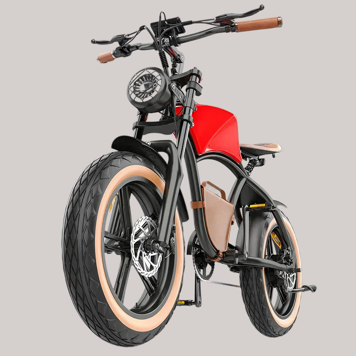 Hidoes B10 Electric Bike