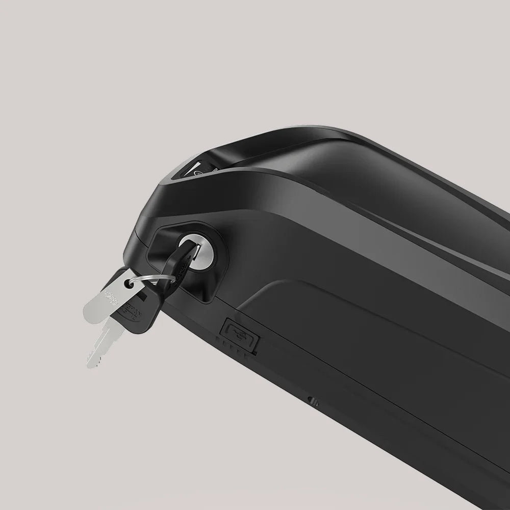 48V 18.0/19.2/20.0Ah Hailong G80 Max Down Tube Battery with Charger