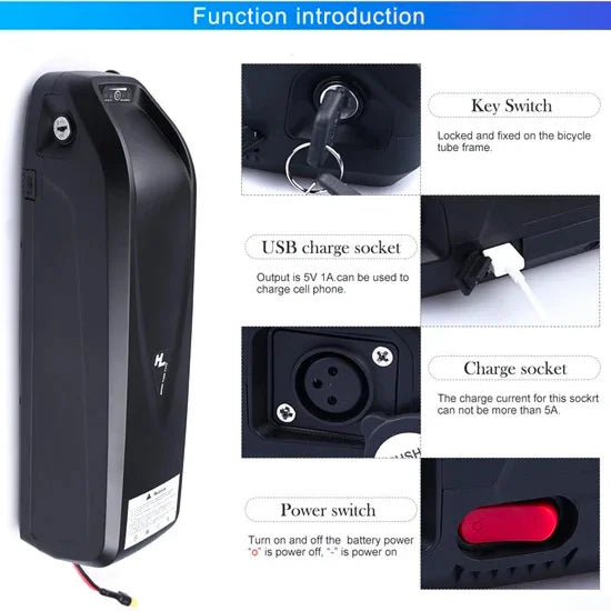 48V 18.0/19.2/20.0Ah Hailong G80 Max Down Tube Battery with Charger