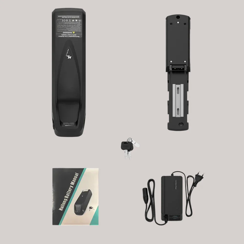 48V 18.0/19.2/20.0Ah Hailong G80 Max Down Tube Battery with Charger